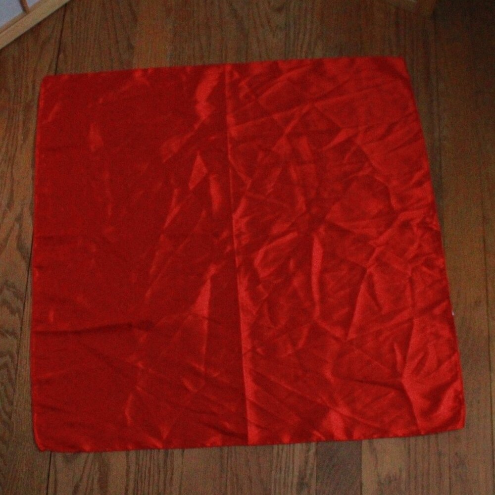 Unknown Brand Shiny Satin Scarf